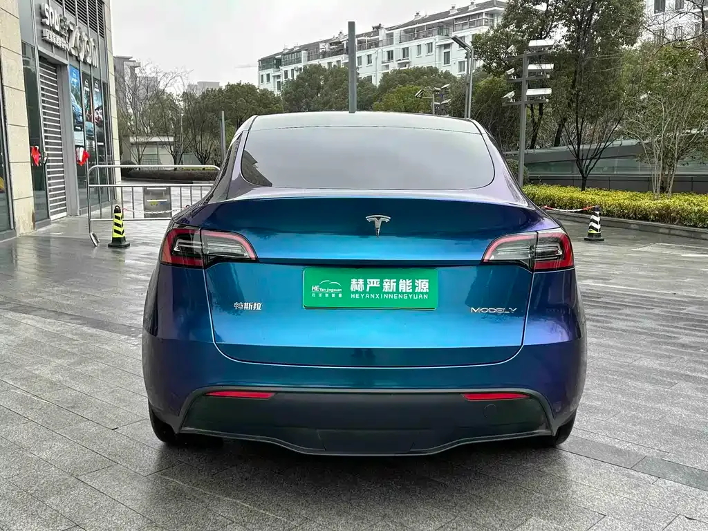 Tesla Model Y 2023 из CN, фото 8