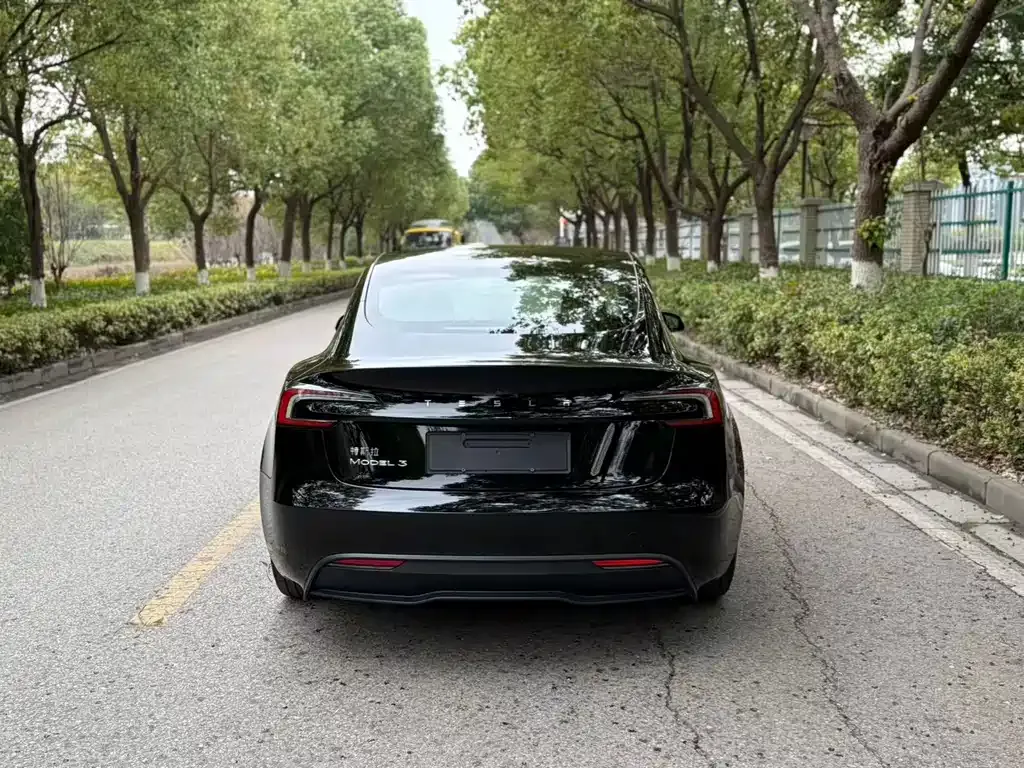 Tesla Model 3 2023 из CN, фото 6