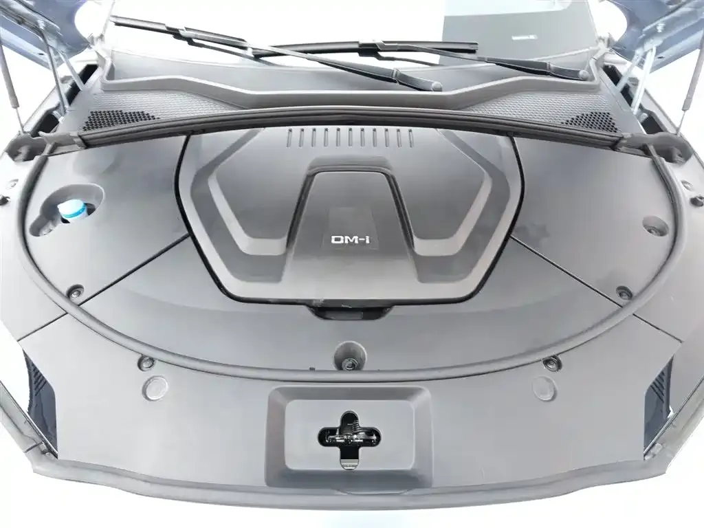 BYD PLUS New Energy 2023 из CN, фото 7