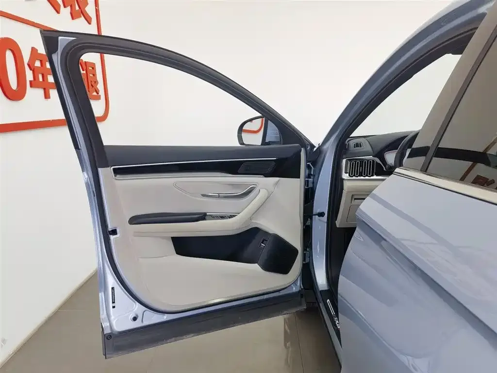 BYD PLUS New Energy 2023 из CN, фото 5