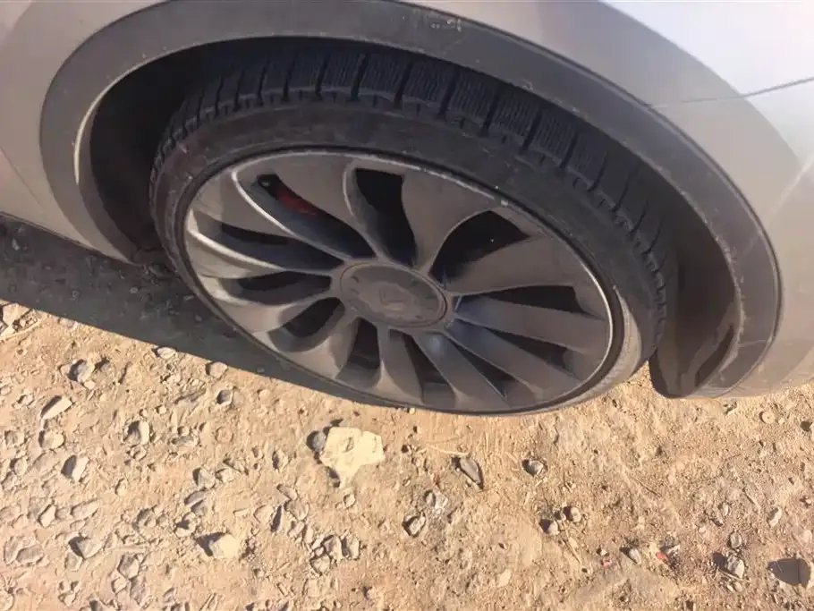 Tesla Model Y 2023 из CN, фото 8