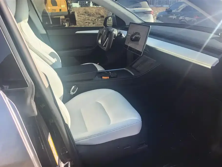 Tesla Model Y 2023 из CN, фото 5