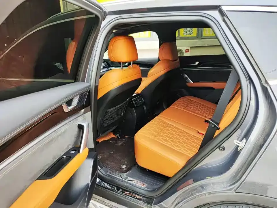 BYD Tang New Energy 2023 из CN, фото 6