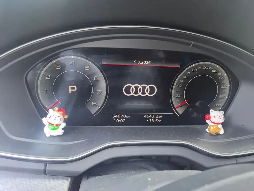 Audi Q5L 2022 из CN, фото 5