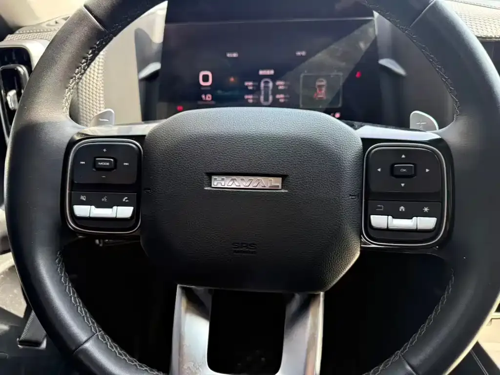 Haval Big Dog 2023 из CN, фото 7