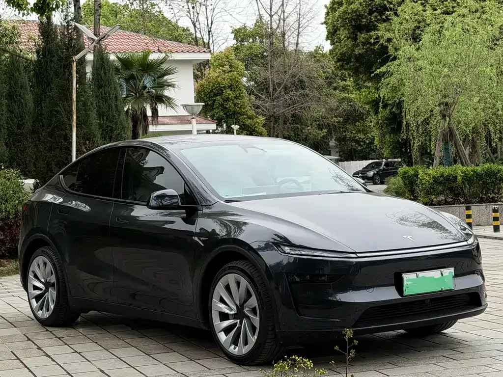 Tesla Model Y — фото 9