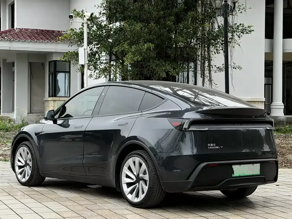 Tesla Model Y — фото 10