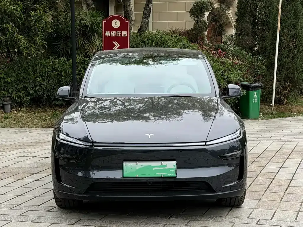 Tesla Model Y — фото 8
