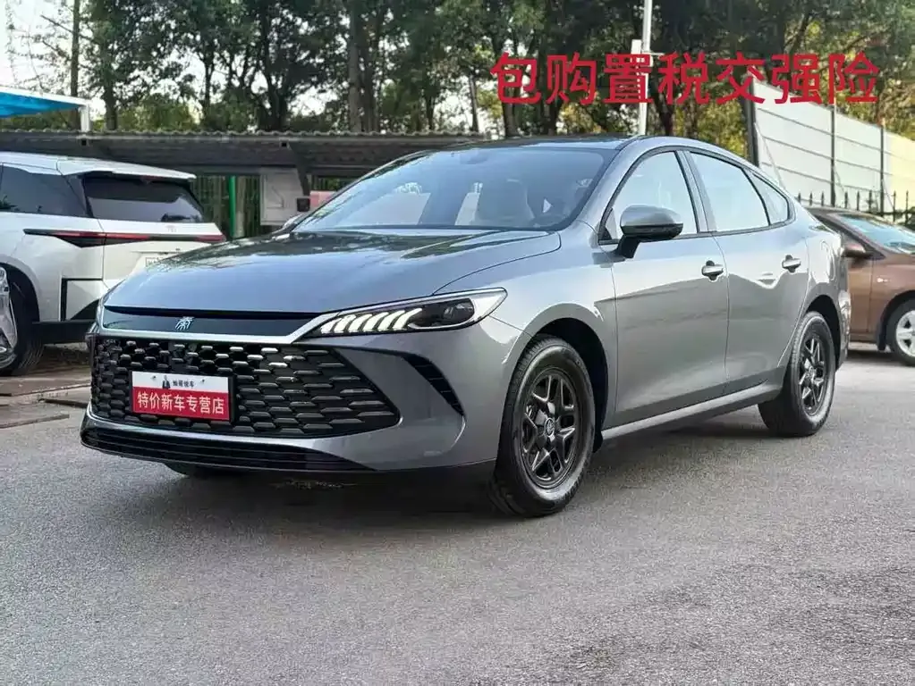 BYD Qin PLUS — фото 1