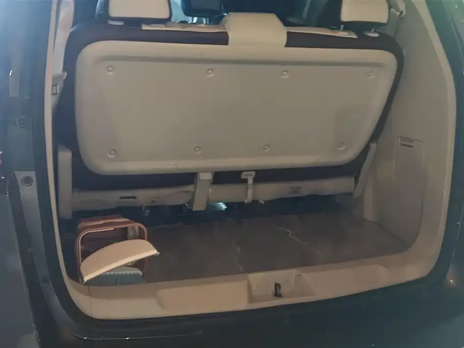 Buick GL8 2022 из CN, фото 8