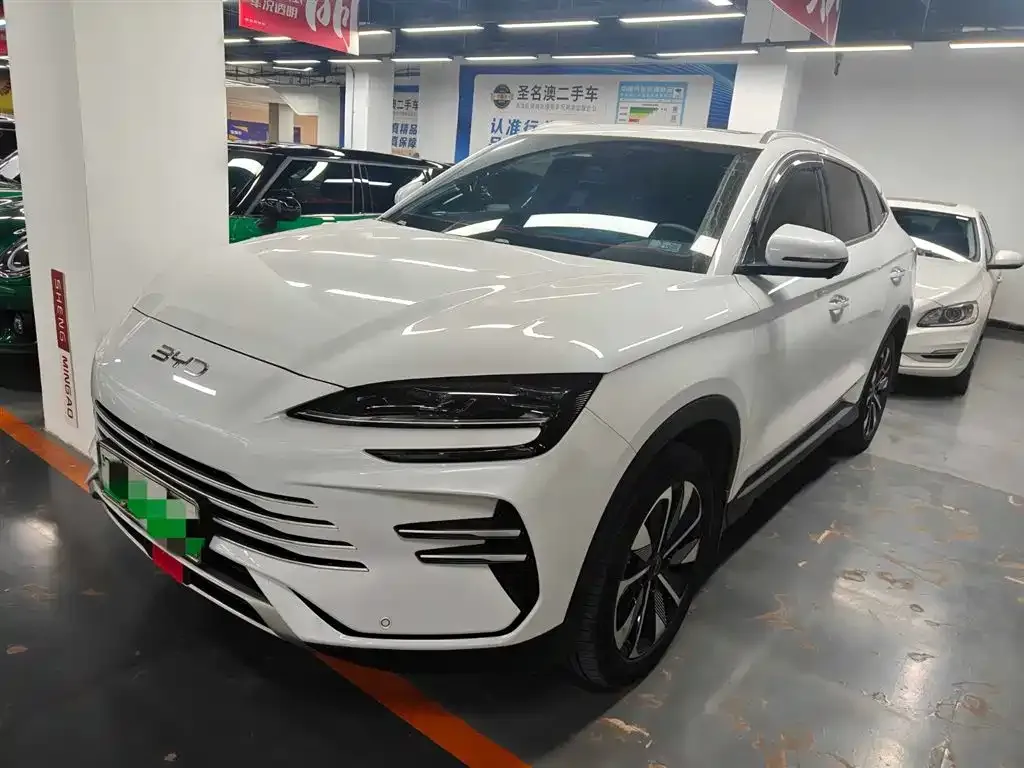 BYD PLUS New Energy 2025 из CN, фото 1