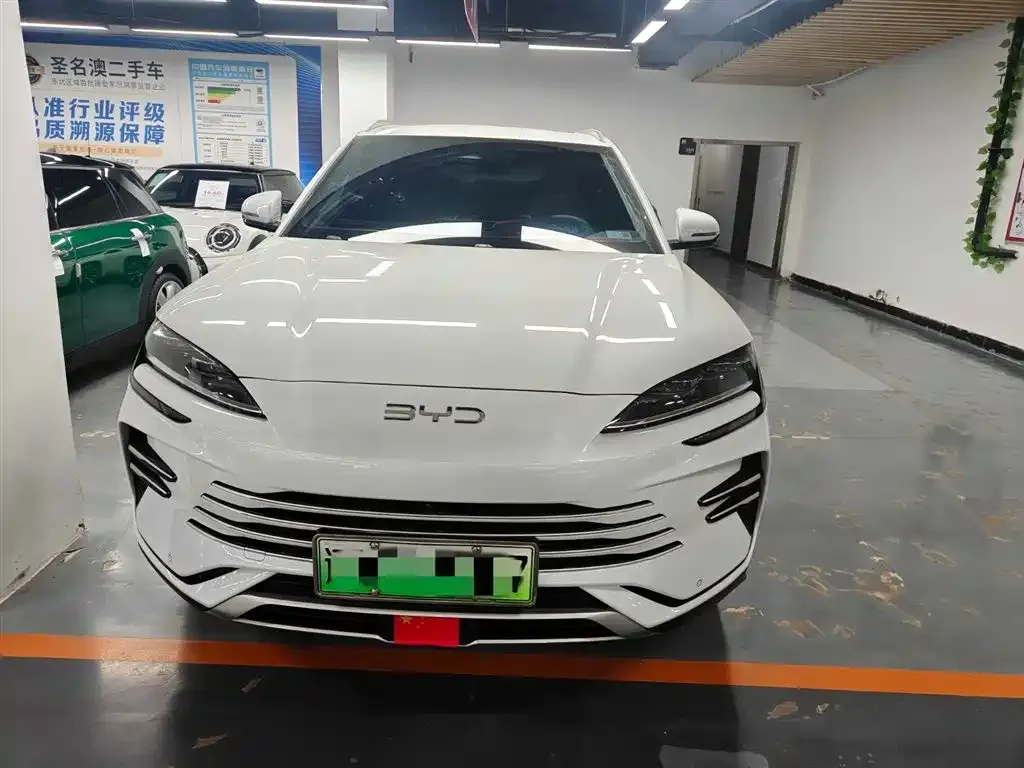BYD PLUS New Energy 2025 из CN, фото 4