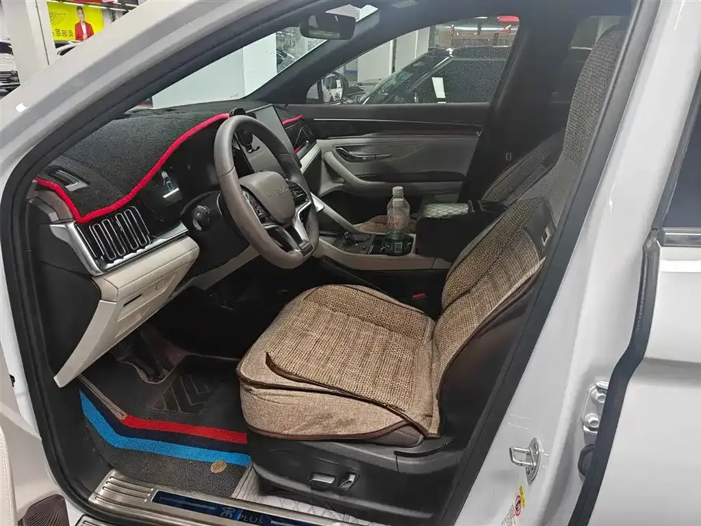 BYD PLUS New Energy 2025 из CN, фото 6