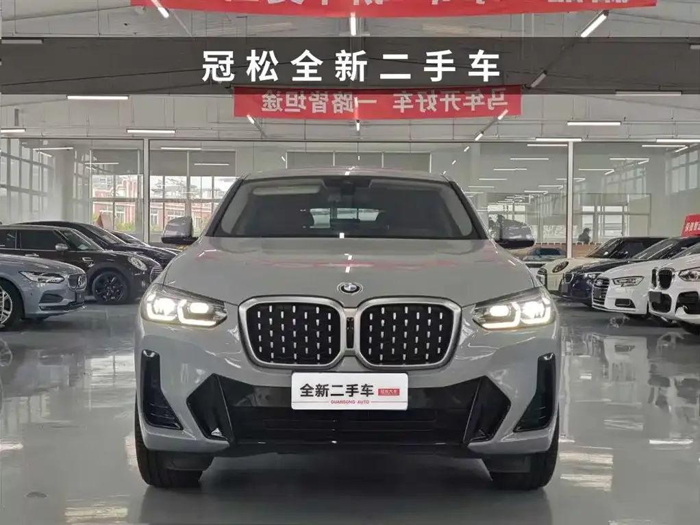 BMW X4 2024 из CN, фото 6