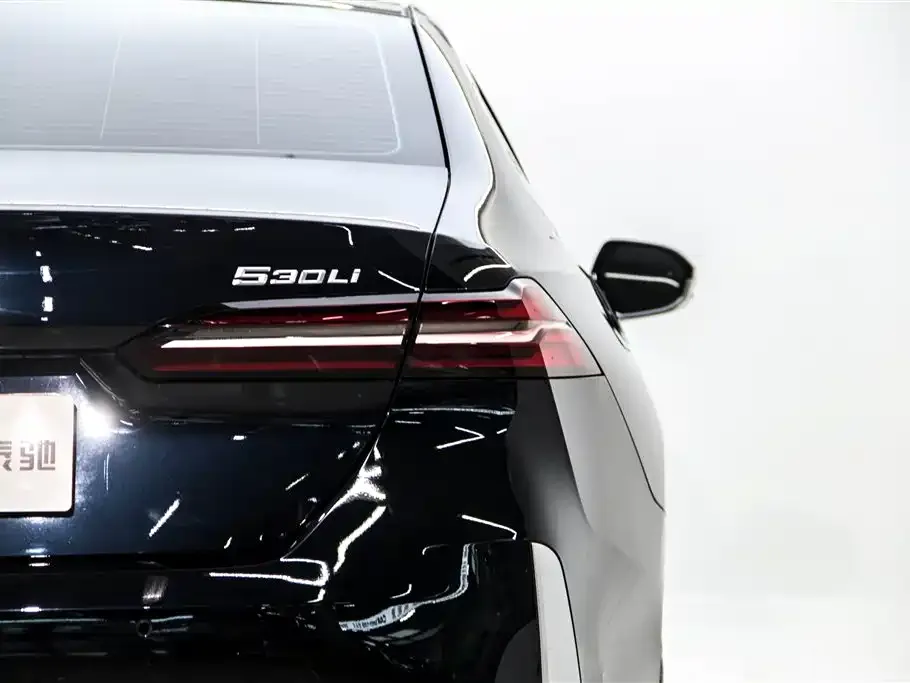 BMW 5 Series 2024 из CN, фото 6