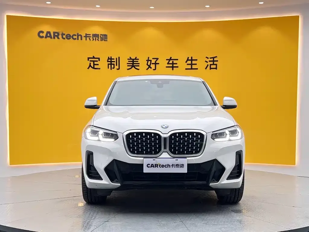 BMW X4 2023 из CN, фото 4