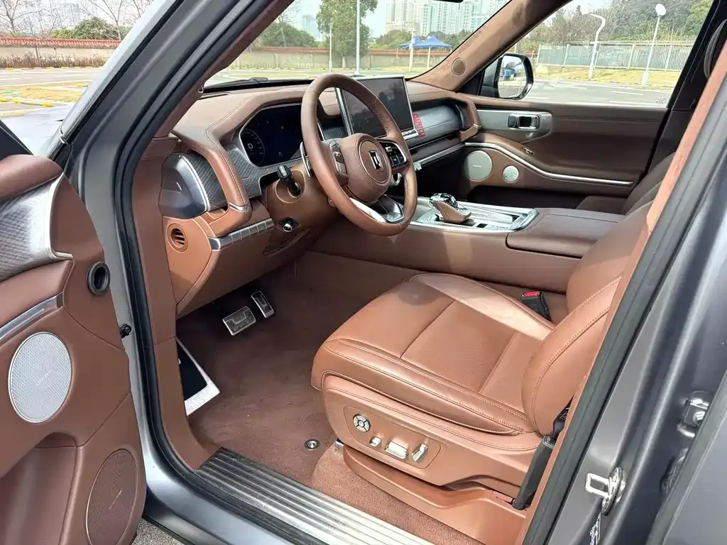 Tank 700 New Energy 2024 из CN, фото 9