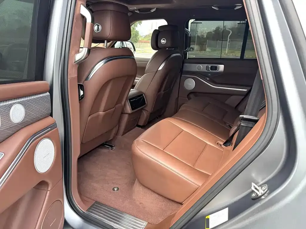 Tank 700 New Energy 2024 из CN, фото 2