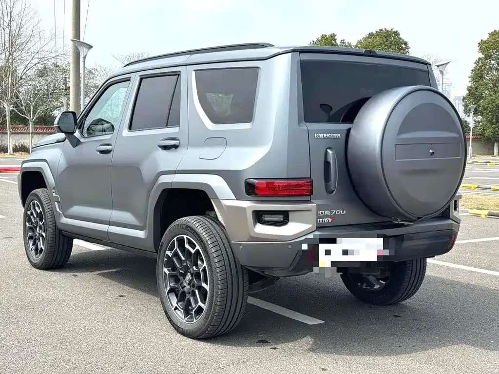 Tank 700 New Energy 2024 из CN, фото 7