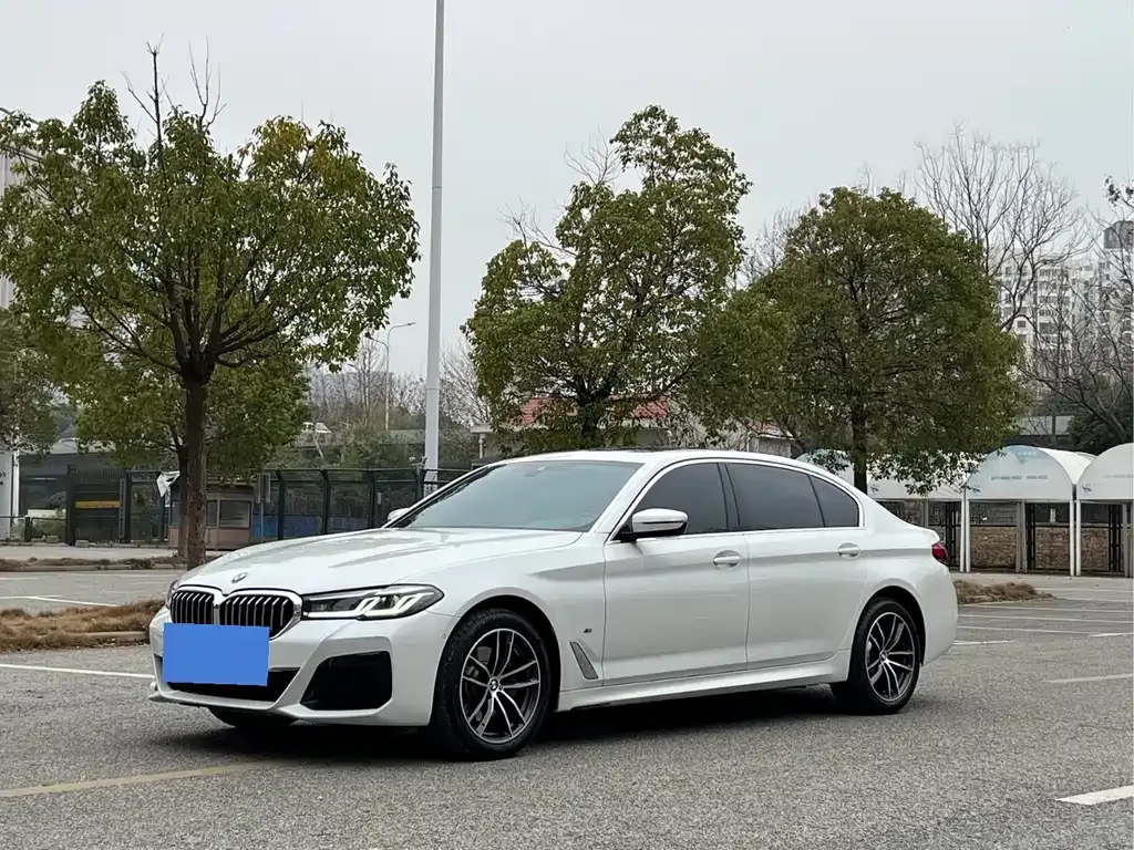 BMW 5 Series 2022 из CN, фото 1