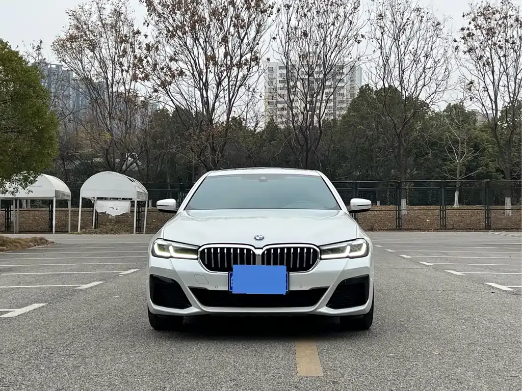 BMW 5 Series 2022 из CN, фото 4