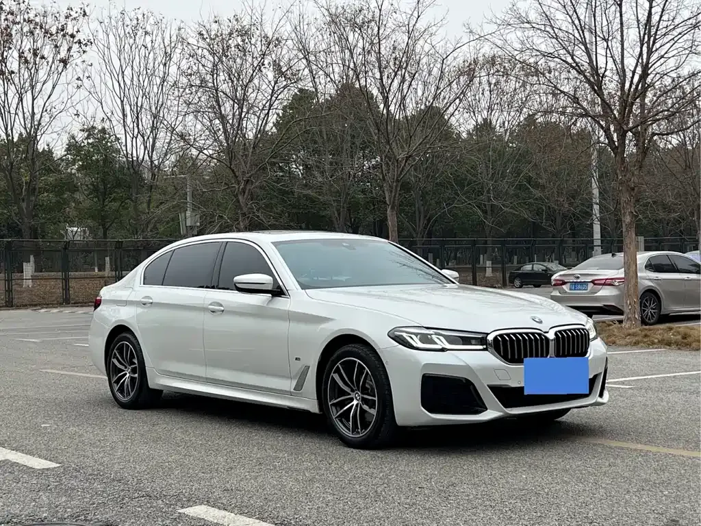 BMW 5 Series 2022 из CN, фото 8