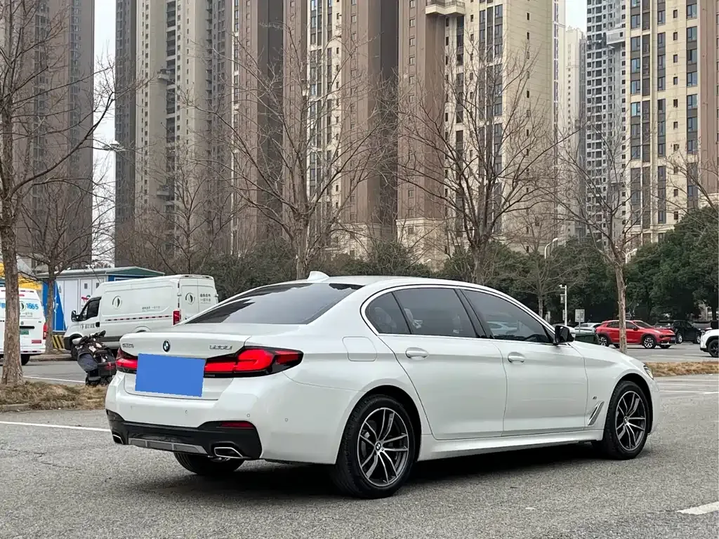 BMW 5 Series 2022 из CN, фото 10