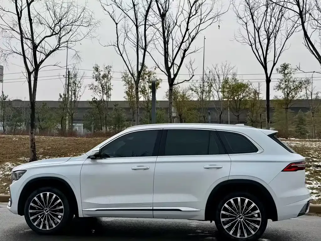 Geely Xingyue L 2025 из CN, фото 8