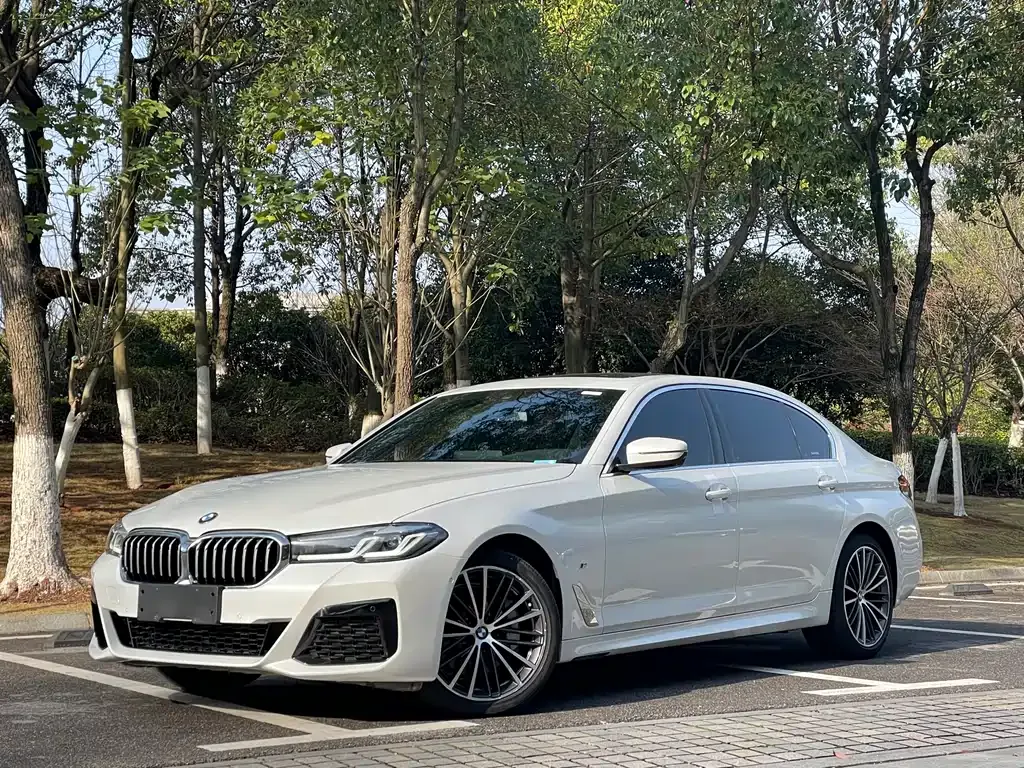 BMW 5 Series — фото 1
