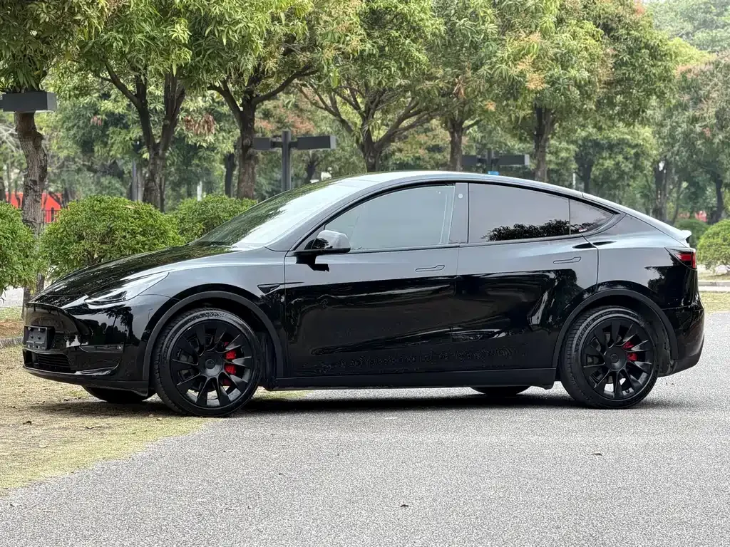Tesla Model Y — фото 1