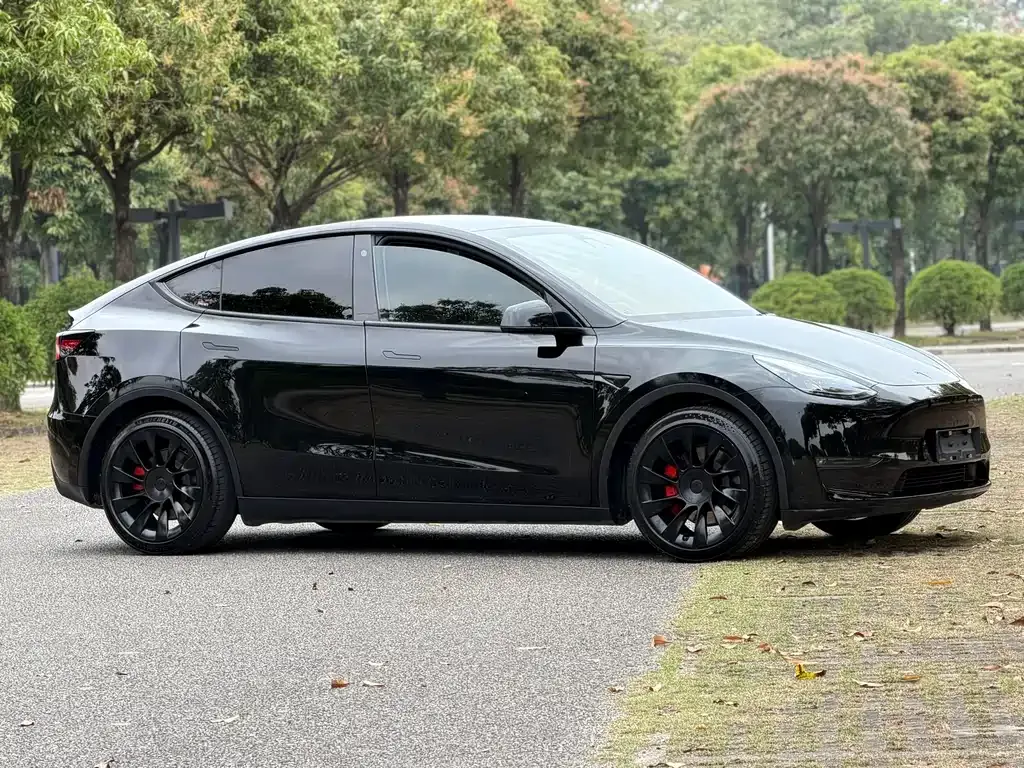 Tesla Model Y — фото 8