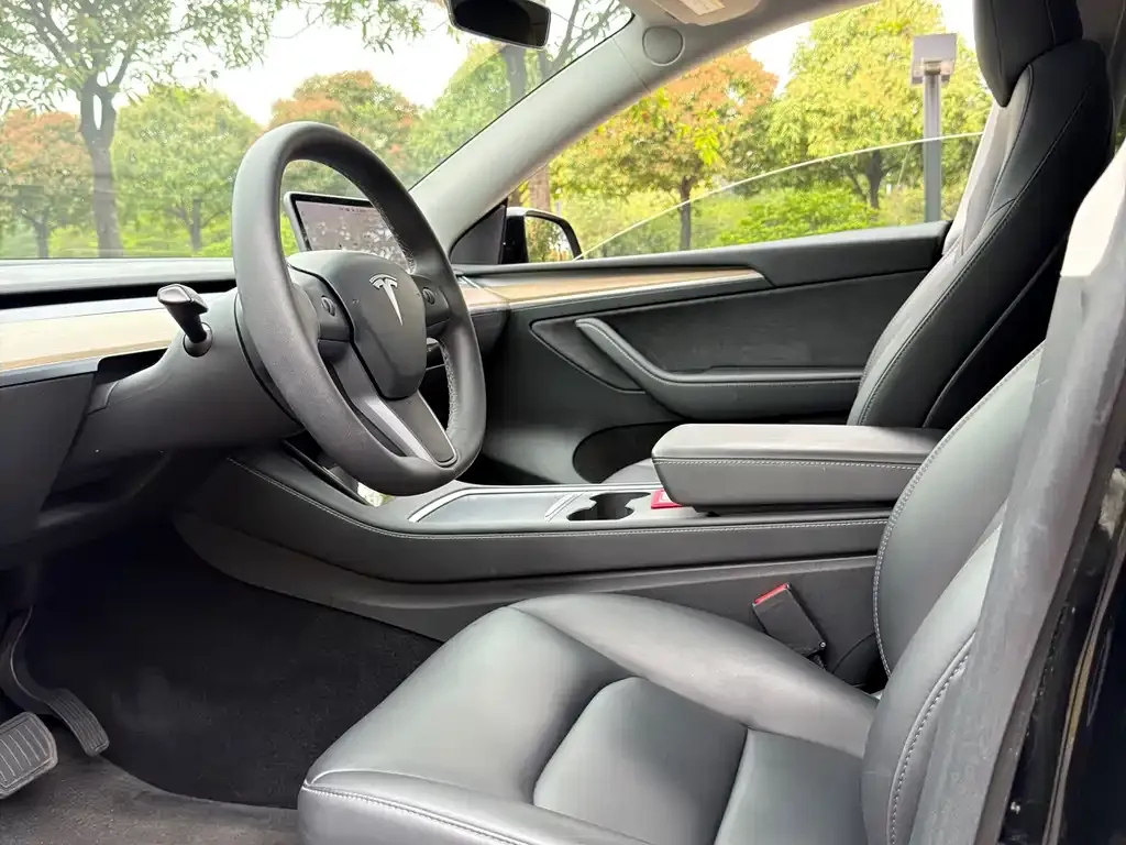 Tesla Model Y — фото 10