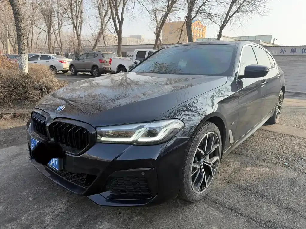 BMW 5 Series 2021 из CN, фото 1