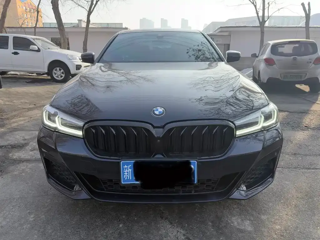 BMW 5 Series 2021 из CN, фото 4
