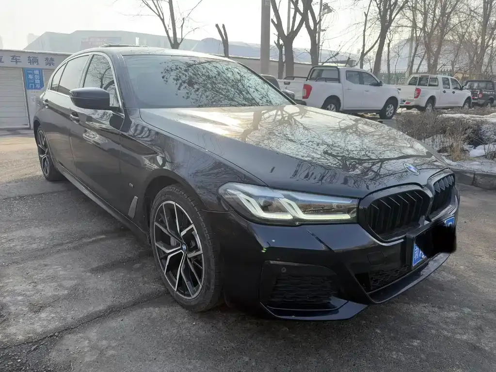 BMW 5 Series 2021 из CN, фото 2