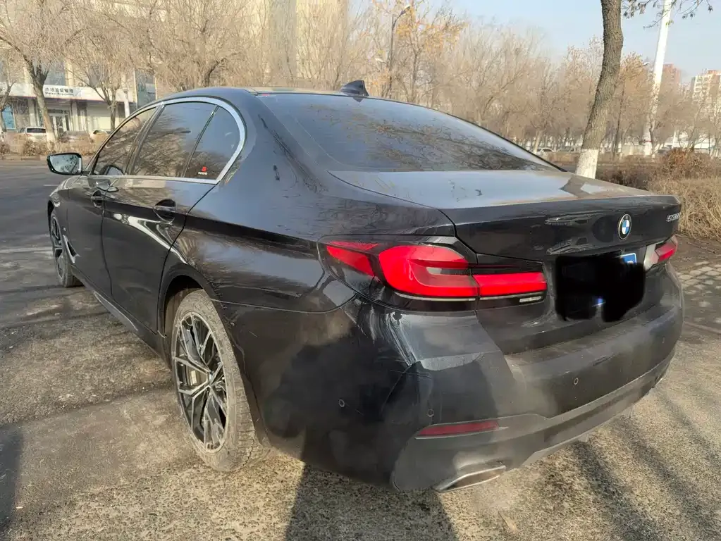 BMW 5 Series 2021 из CN, фото 5