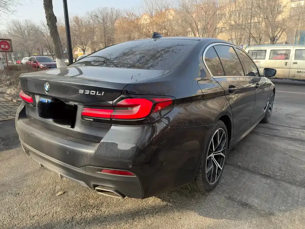 BMW 5 Series 2021 из CN, фото 10