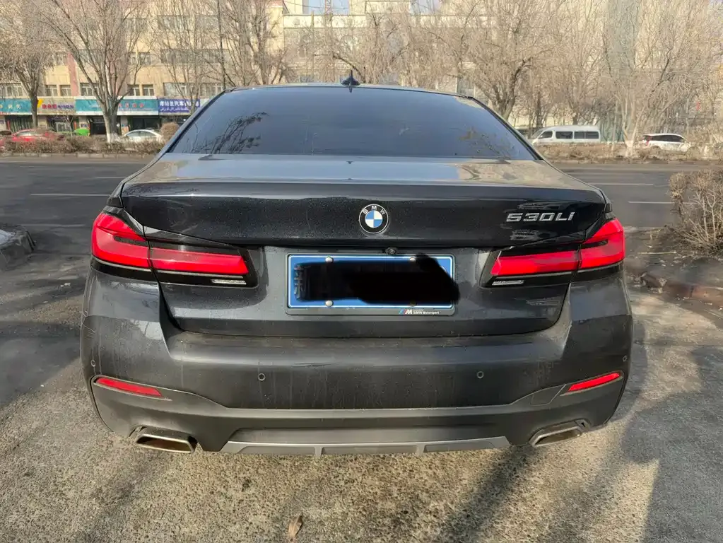 BMW 5 Series 2021 из CN, фото 3