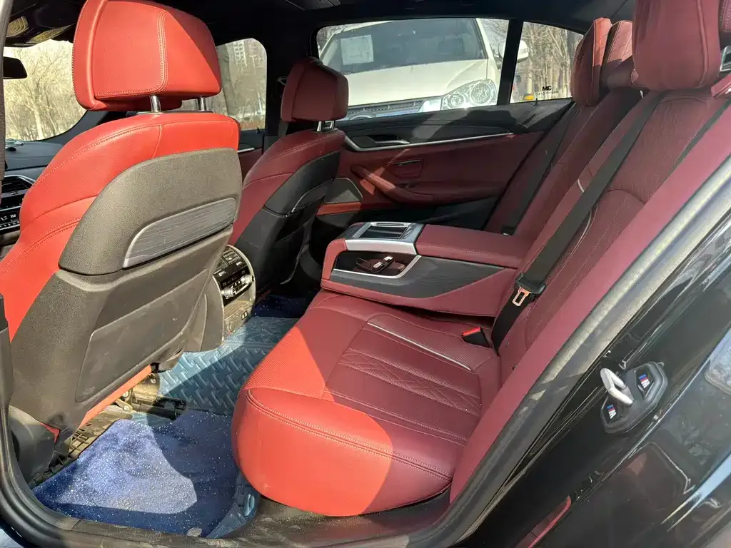 BMW 5 Series 2021 из CN, фото 9