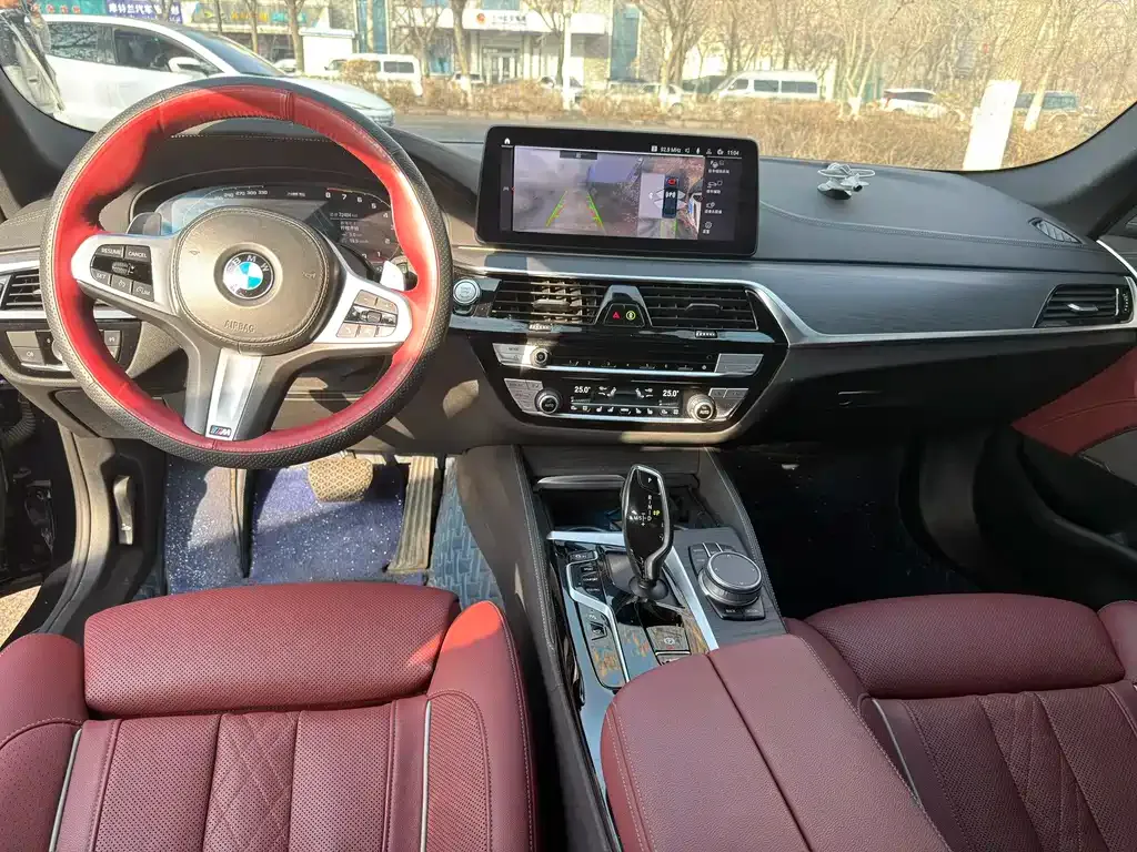 BMW 5 Series 2021 из CN, фото 7