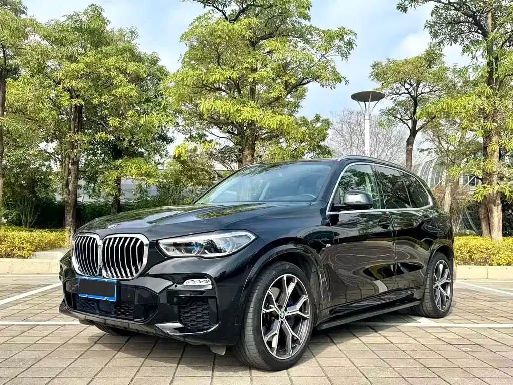 BMW X5 (Import) — фото 1