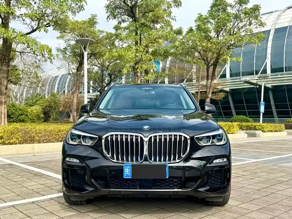 BMW X5 (Import) — фото 6