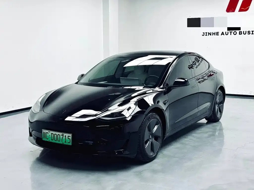 Tesla Model 3 2021 из CN, фото 1
