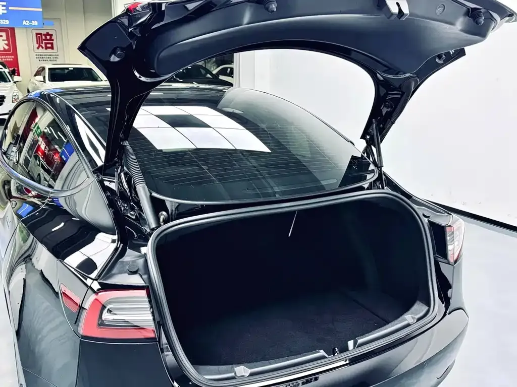 Tesla Model 3 2021 из CN, фото 10