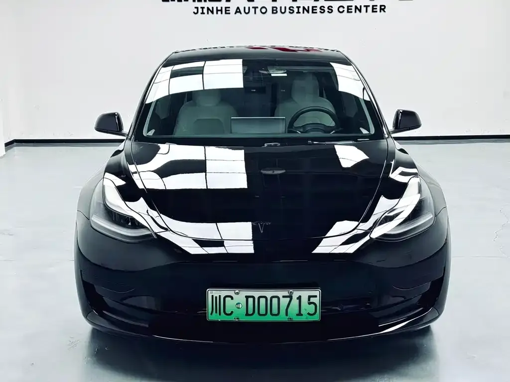 Tesla Model 3 2021 из CN, фото 7
