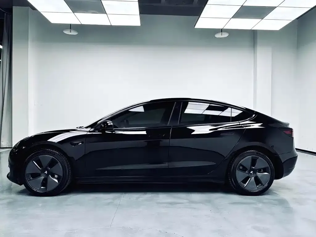 Tesla Model 3 2021 из CN, фото 2