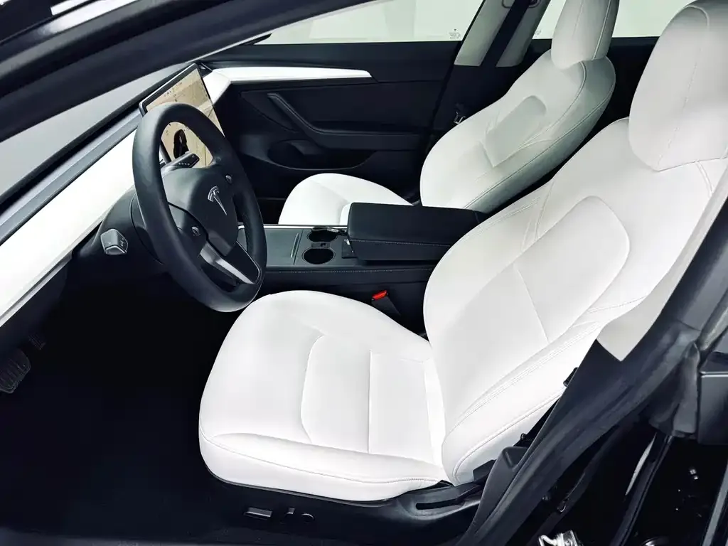 Tesla Model 3 2021 из CN, фото 6