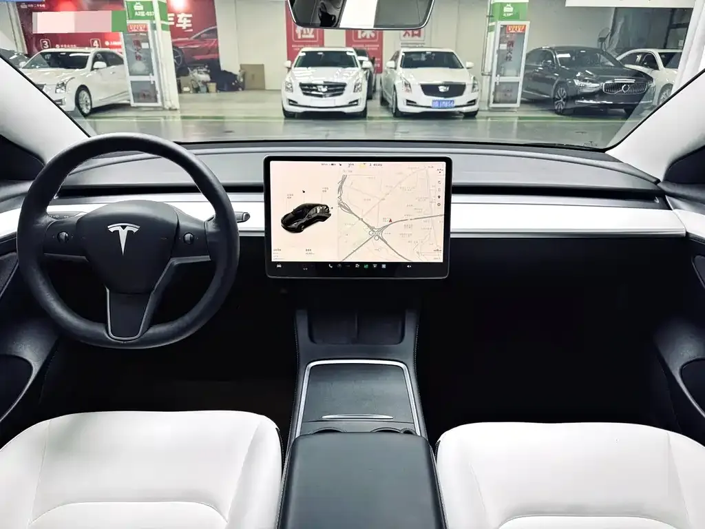 Tesla Model 3 2021 из CN, фото 9