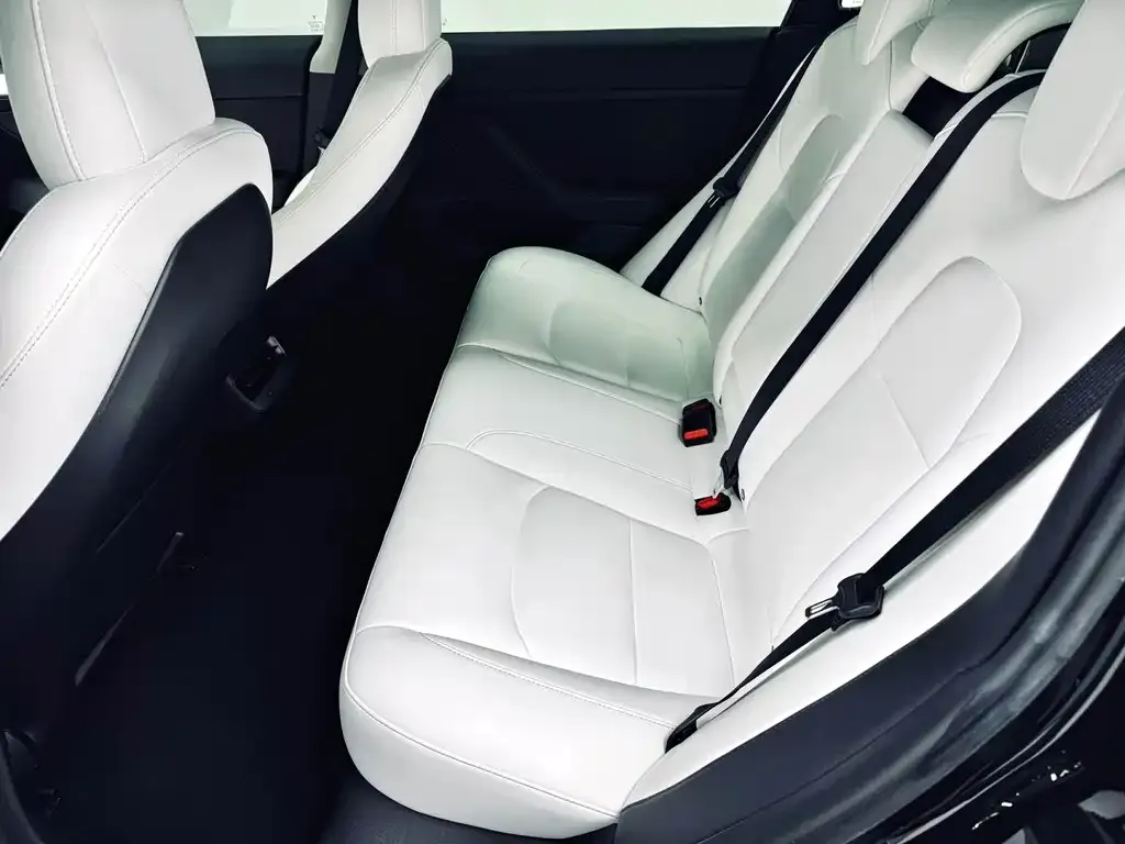 Tesla Model 3 2021 из CN, фото 4