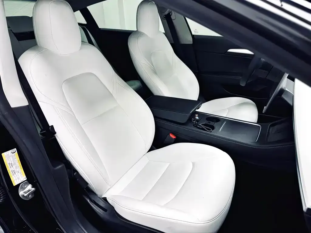 Tesla Model 3 2021 из CN, фото 3